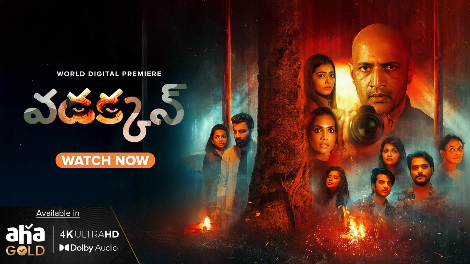 Vadakkan 2025 Full Movie Online Watch HD Movies on Airtel