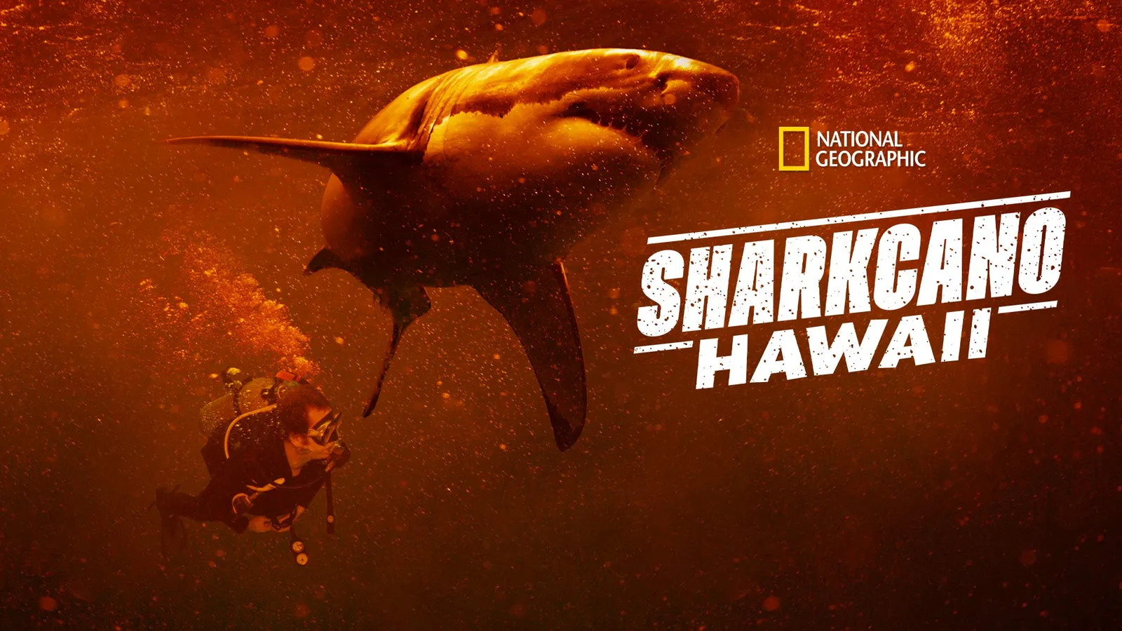 Sharkcano: Hawaii 2023 Full Movie Online - Watch HD Movies on Airtel ...