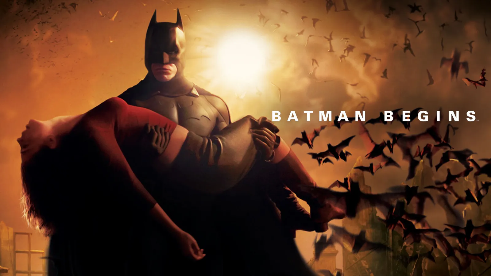 Christopher Nolan Batman Begins Decider Batman Figure, Dynamic