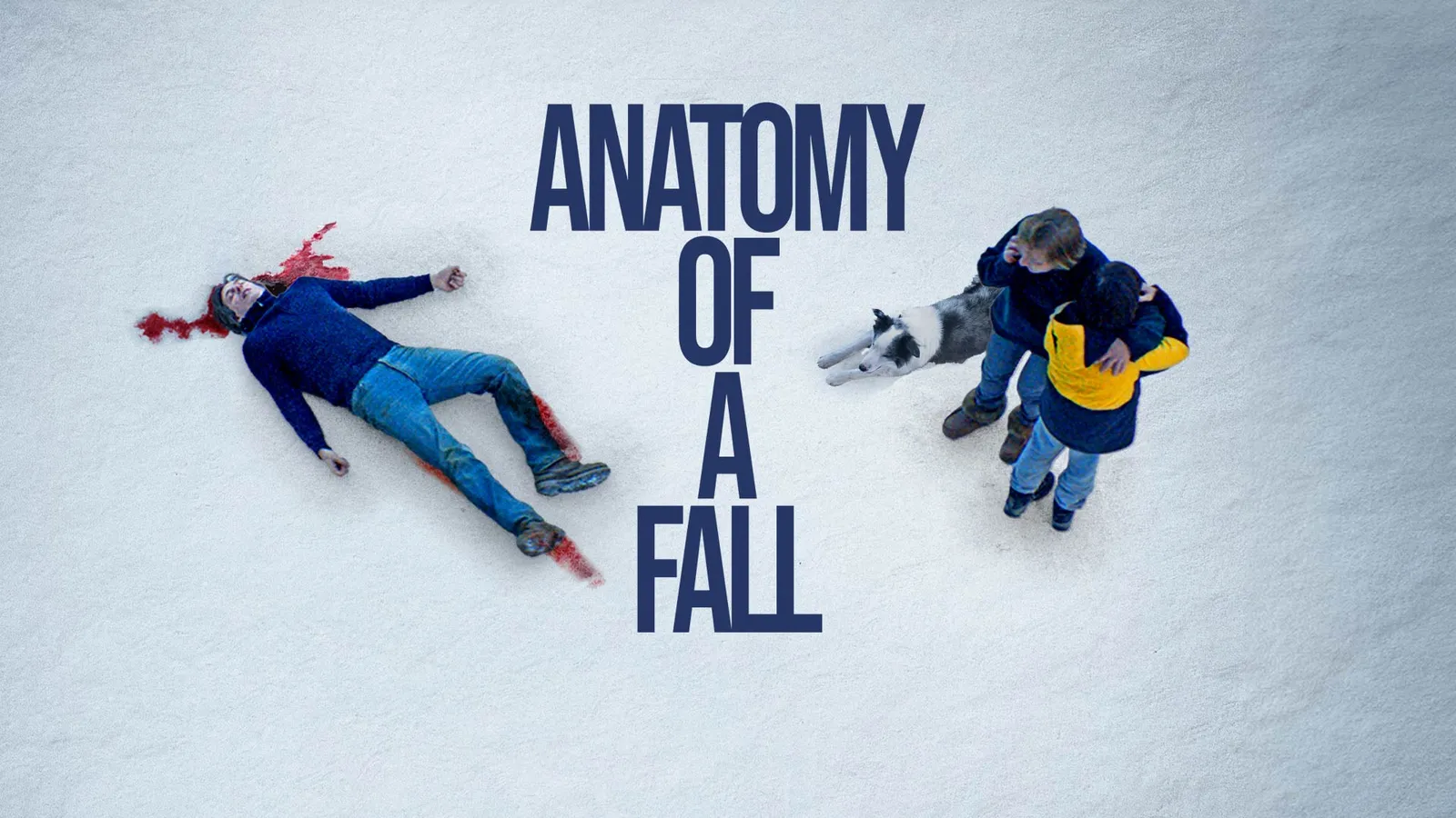 Anatomy of a Fall 2023 - Watch Anatomy of a Fall 2023 Full Movie Online in HD | Airtel Xstream Play