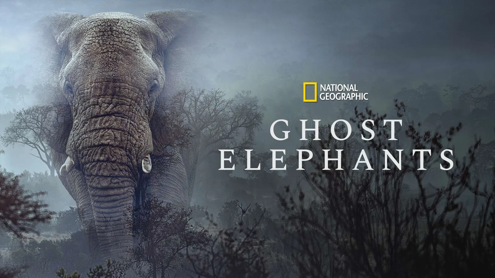 Watch & Download Ghost Elephants 2026 Full HD Movie Online | Xstream Play