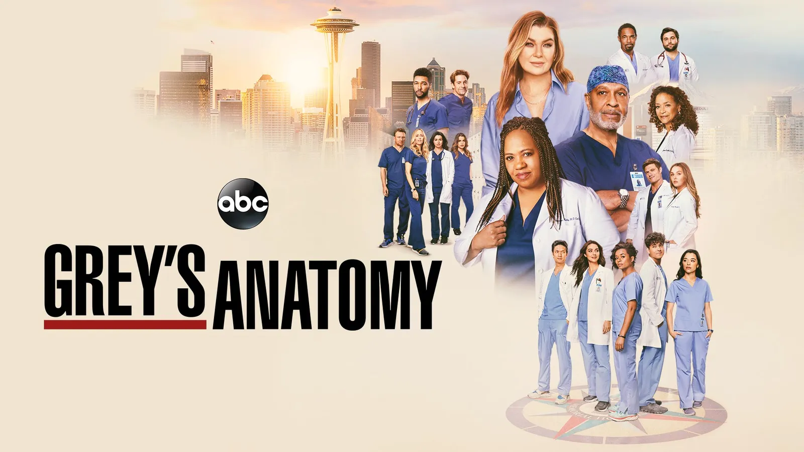 Anatomy Cast Where To Watch Grey's Anatomy For Free Watch