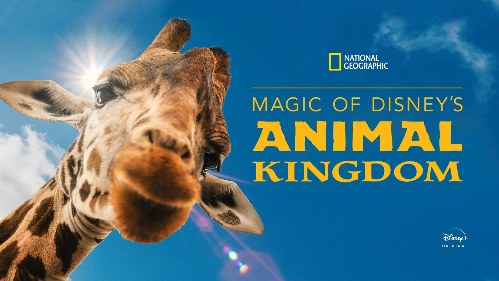 Watch Magic of Disney's Animal Kingdom TV Show Latest Episodes