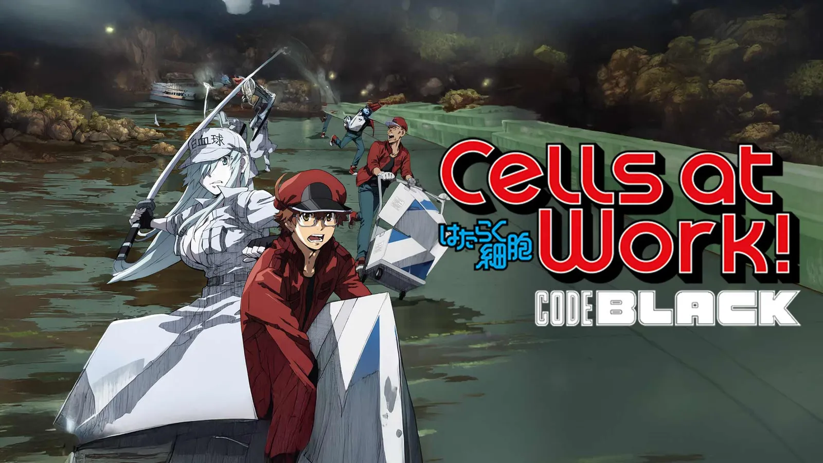 Cells At Work! Code Black TV Show: Watch Latest Episodes Online ...