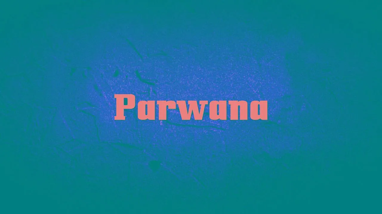 Parwana 2010 - Watch Parwana 2010 Full Movie Online in HD | Airtel ...