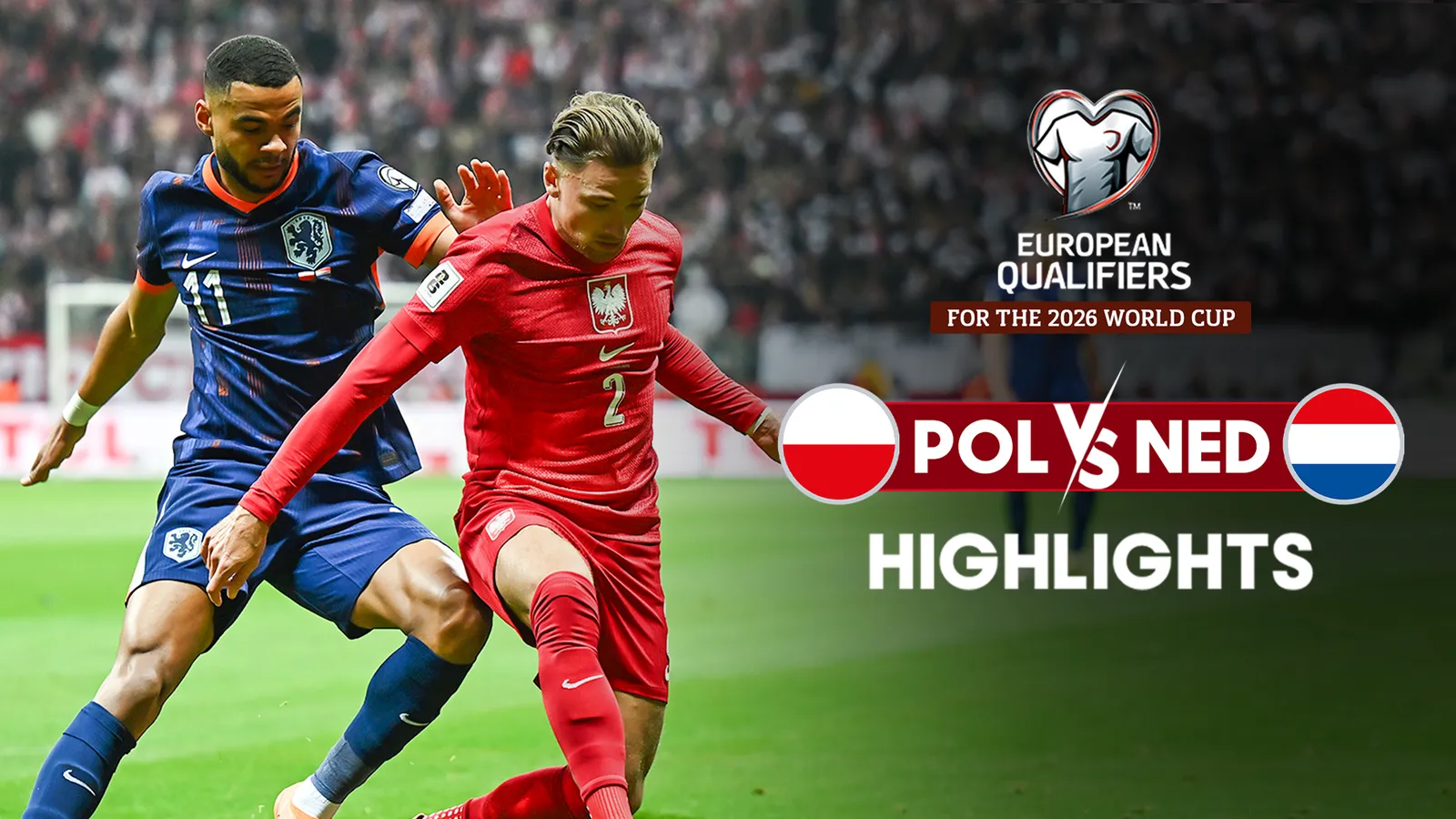 Poland vs Netherlands - Highlights - 15 Nov 2025