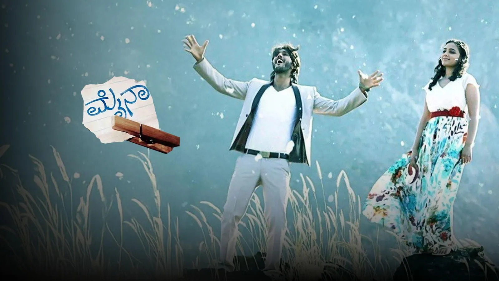 Mynaa 2013 - Watch Mynaa 2013 Full Movie Online in HD | Airtel Xstream Play