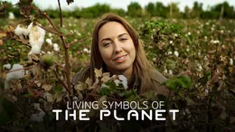 Living Symbols Of The Planet