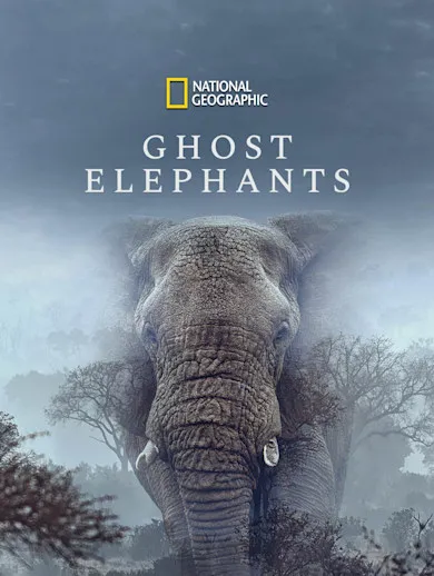 Ghost Elephants 2026 - Watch Ghost Elephants 2026 Full Movie Online in ...