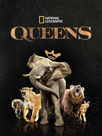 Watch Queens TV Show Latest Episodes Online at Airtel Xstream Play